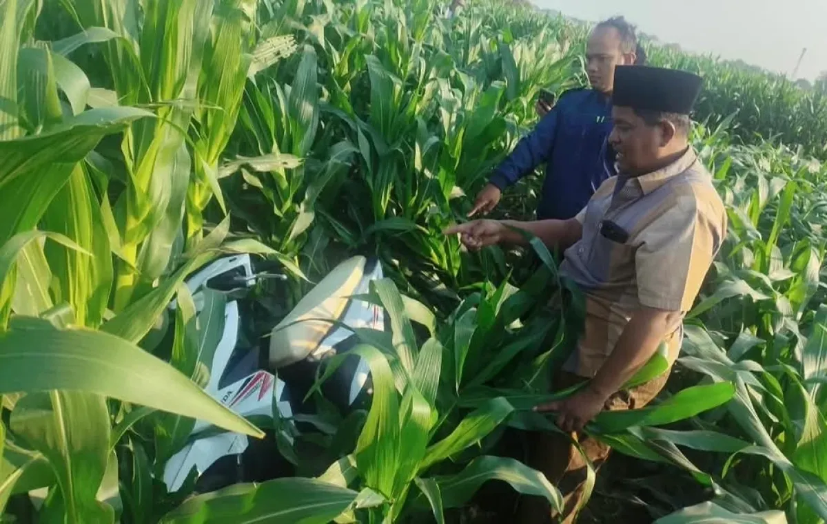 Motor Honda Beat Misterius Ditemukan Tergeletak di Sawah Probolinggo, Polisi Cari Pemilik